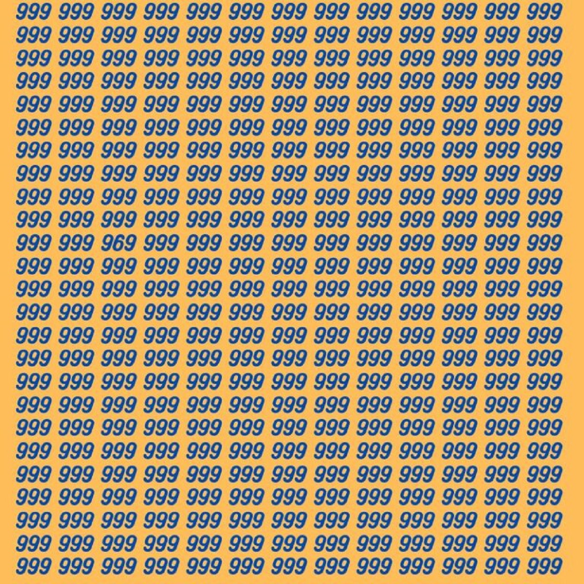 אתגר ראייה עוצר נשימה