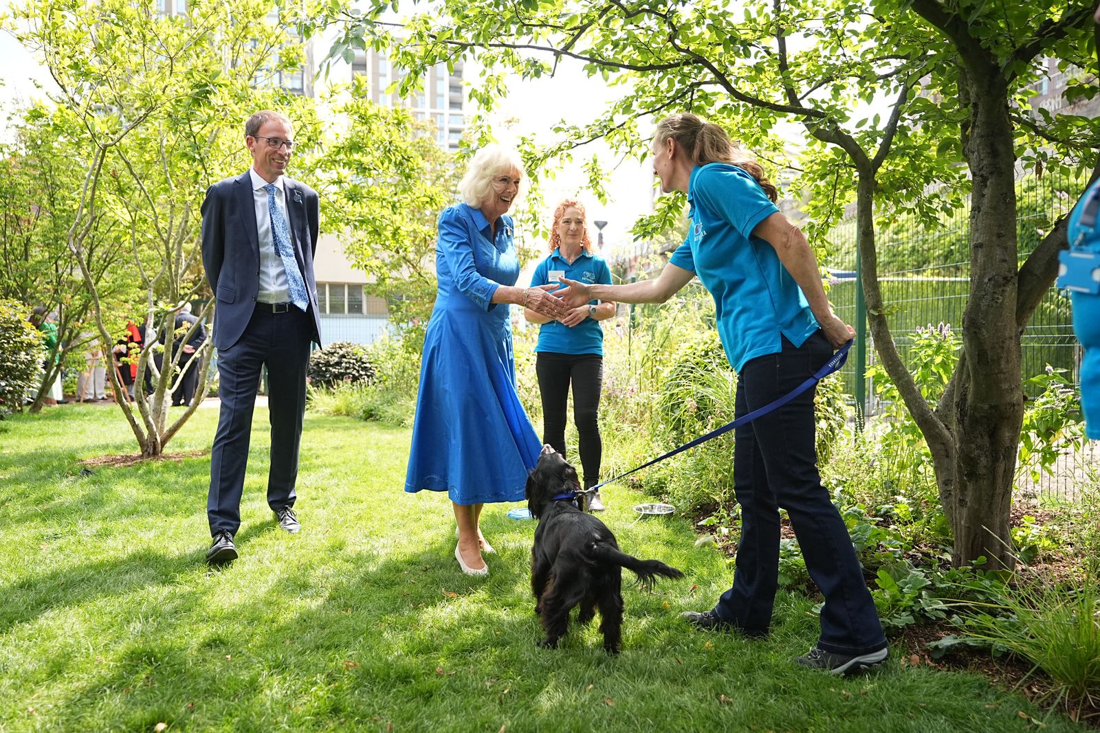 תמונה עשויה להכיל דשא טבע בחוץ פארק בגדי צמח נעליים נעליים נעל צמחייה ובעלי חיים