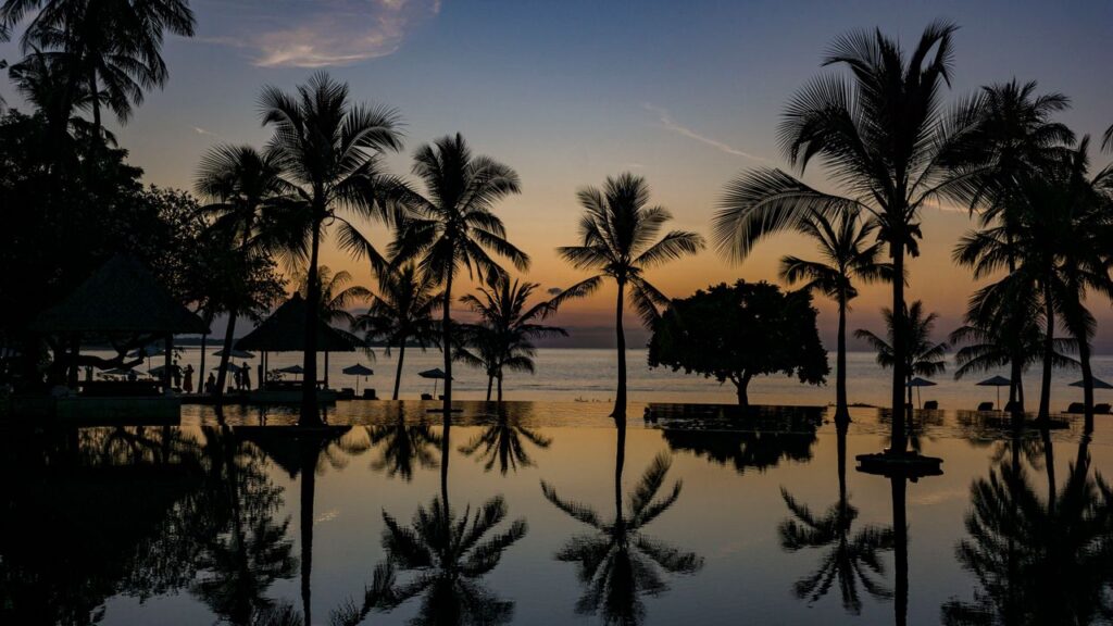 לאחר שברון לב ומשבר בריאותי, כתב המלכות שלנו חיפש נחמה בבאלי