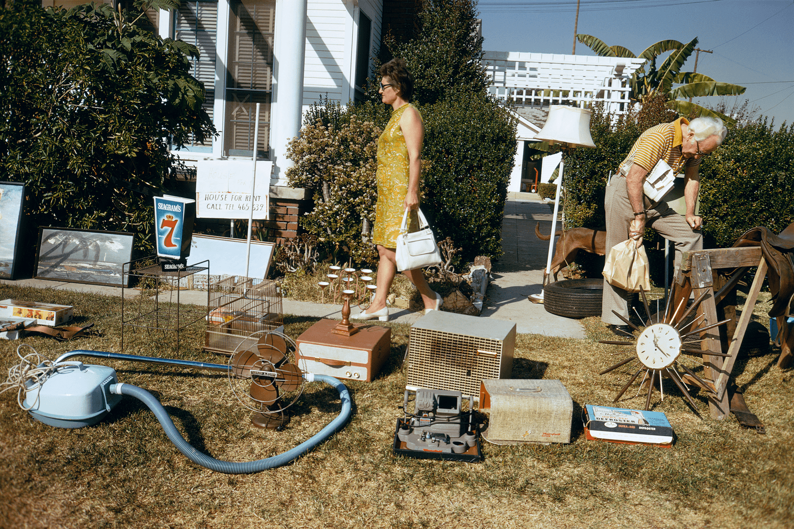 תמונה עשויה להכיל מכנסי בגדים קצרים דיקט אביזרי עץ תיק תיק יד לבוגר אדם בחצר האחורית הטבע וחוץ