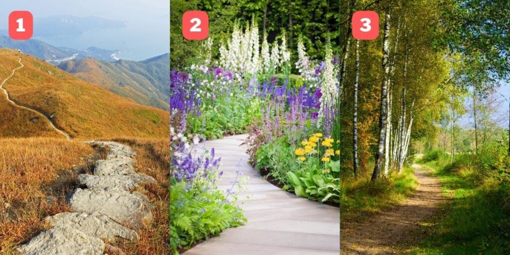 איזה מסלול תבחרו