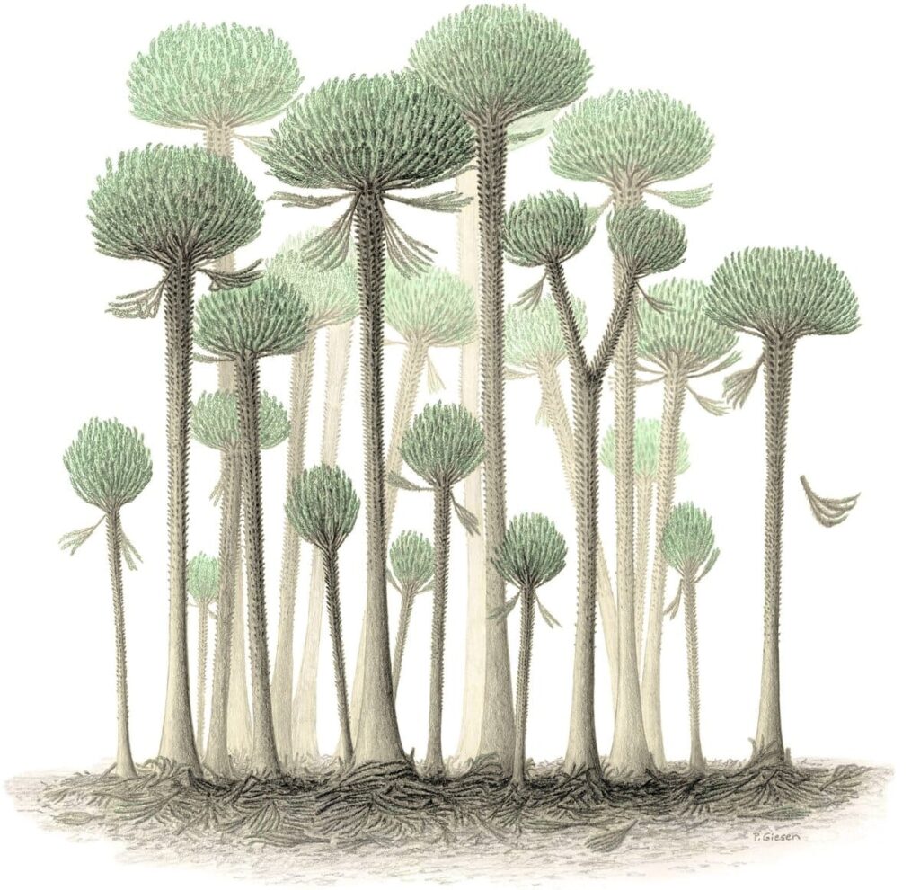 בן 390 מיליון שנים