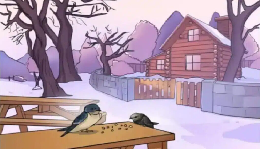 גלו את השגיאה