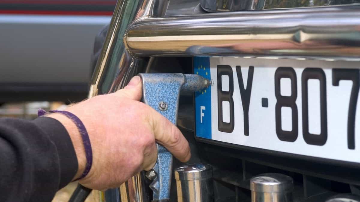 הם התחמקו מדו