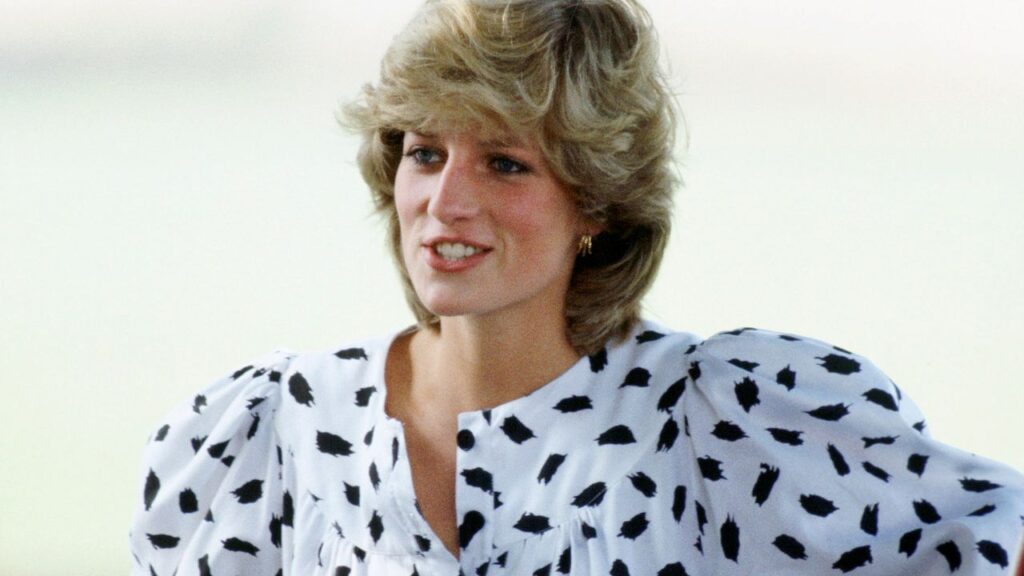 צ'רלס ספנסר משתף בעבר תצלום ילדות בלתי נראה של הנסיכה דיאנה