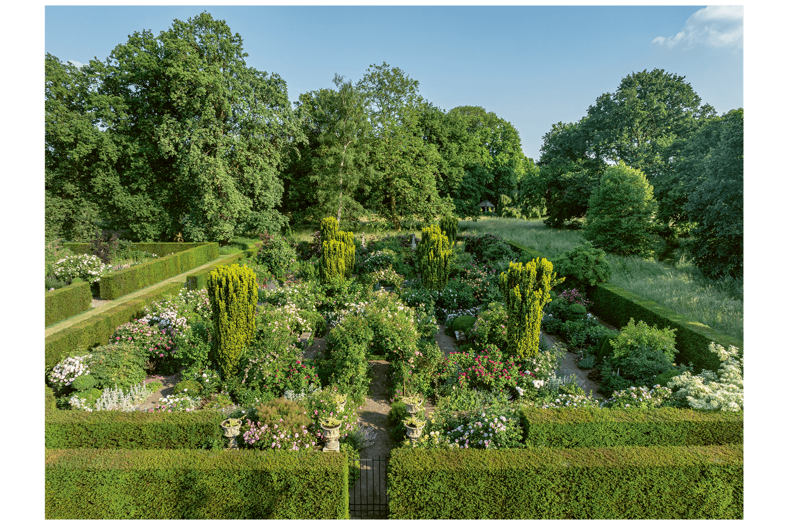 תמונה עשויה להכיל טבע גן בחוץ גדר צמח פארק דשא וגידור