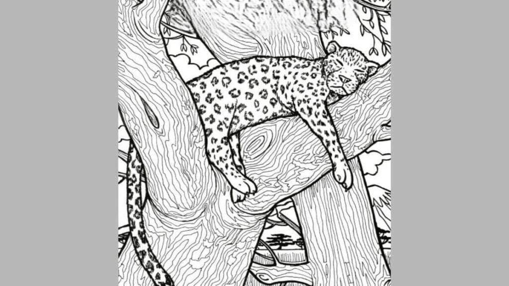 אם תמצאו את הדג בתוך 10 שניות