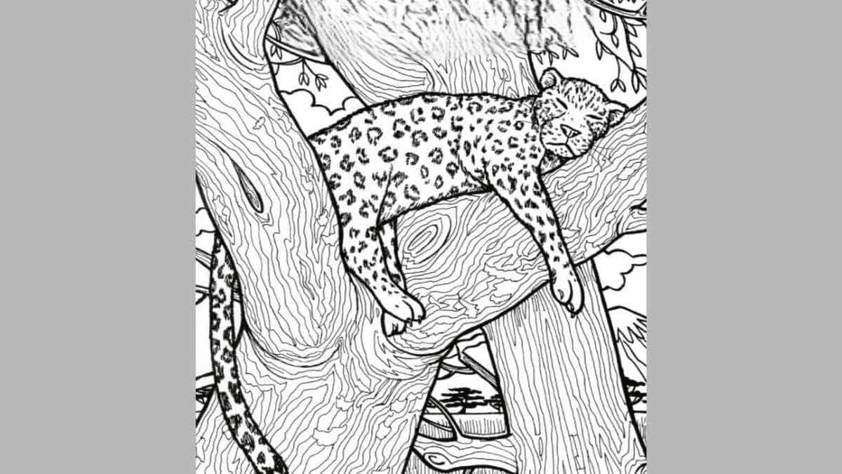 אם תמצאו את הדג בתוך 10 שניות