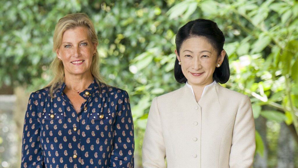 סופי מאדינבורו ארזה מזוודה מרשימה של שמלות חולצה לטיול יפן שלה