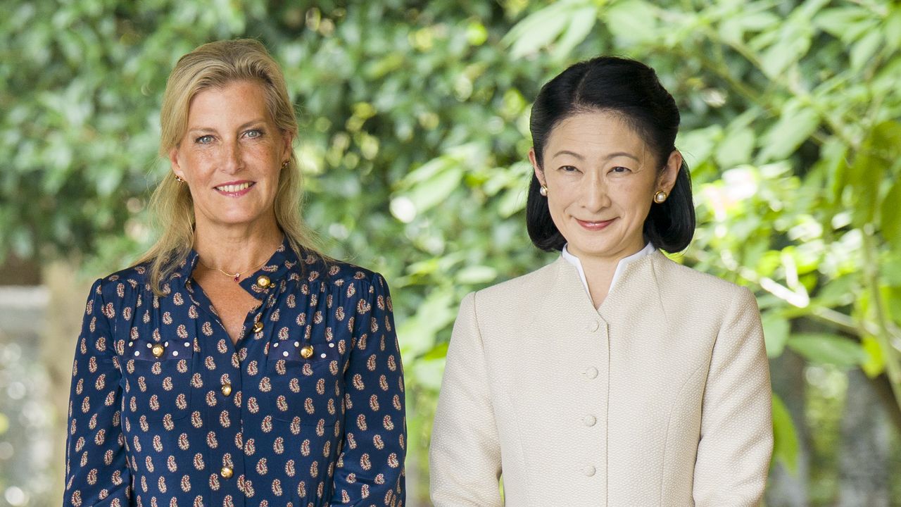 סופי מאדינבורו ארזה מזוודה מרשימה של שמלות חולצה לטיול יפן שלה