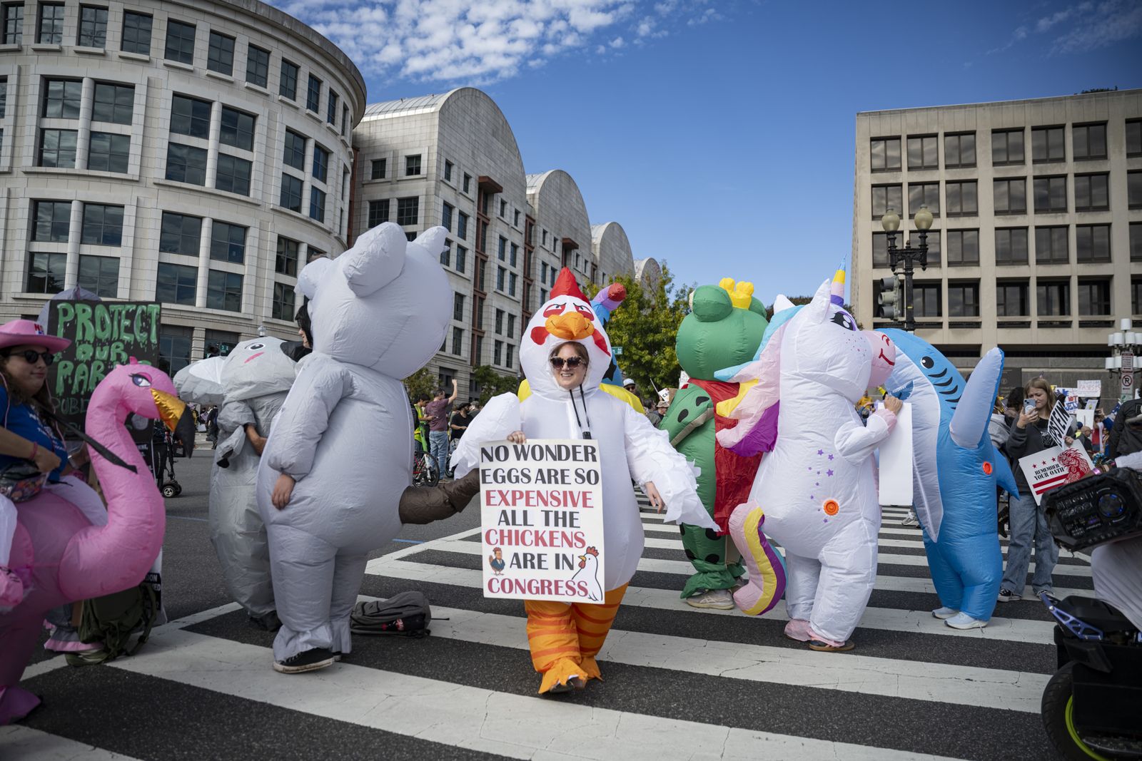 וושינגטון די.סי