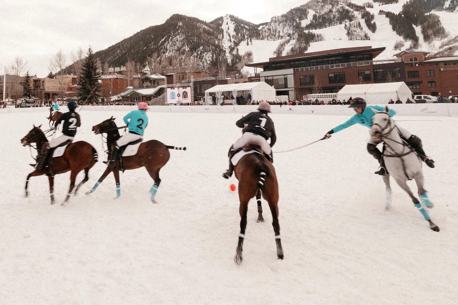 התמונה עשויה להכיל אנשים אדם בעל חיים סוסים סוס יונק תינוק פולו קבוצת ספורט וספורט קבוצתי