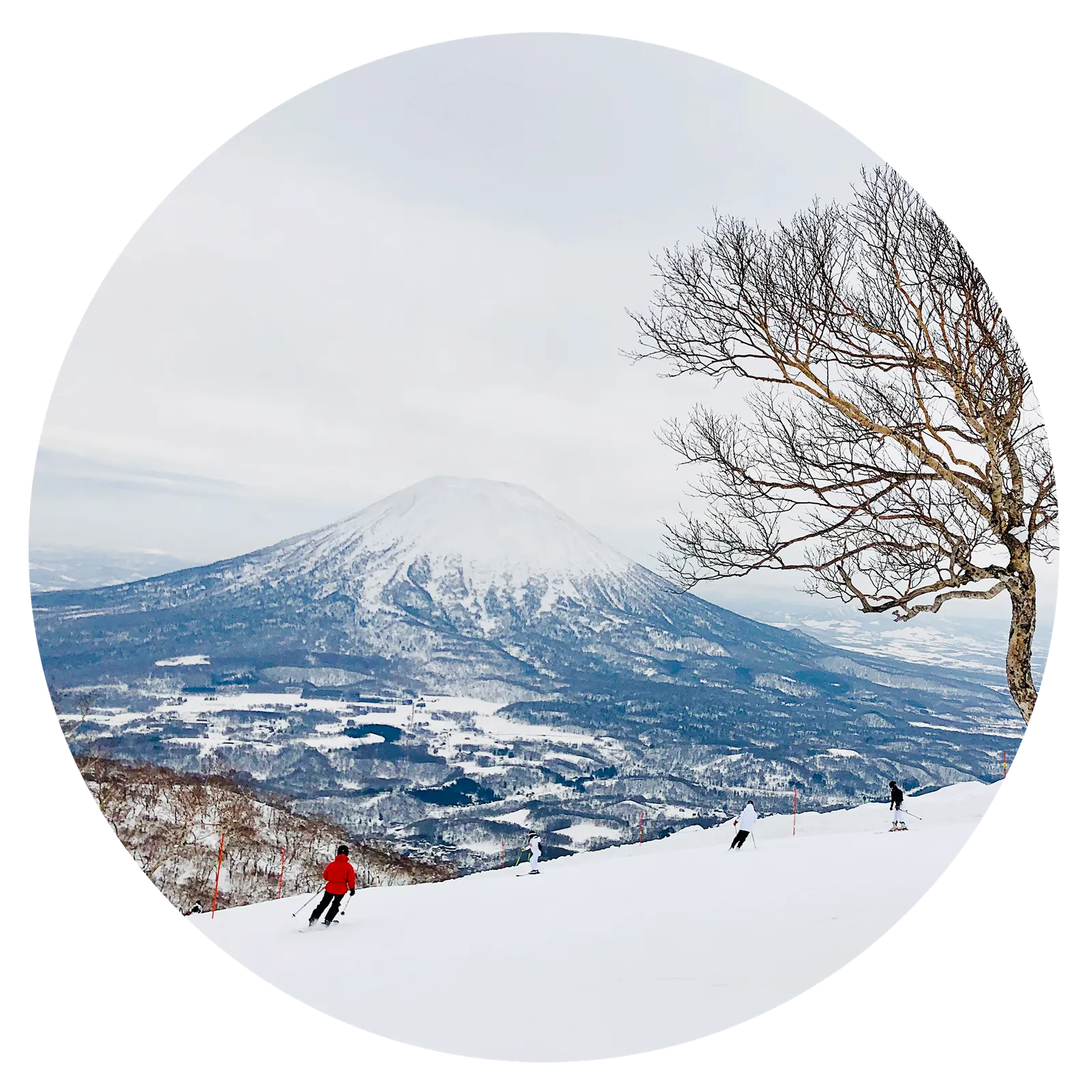 התמונה עשויה להכיל טבע בחוץ אדם מסלול שלג ספורט מדרון פעילויות פנאי וסקי