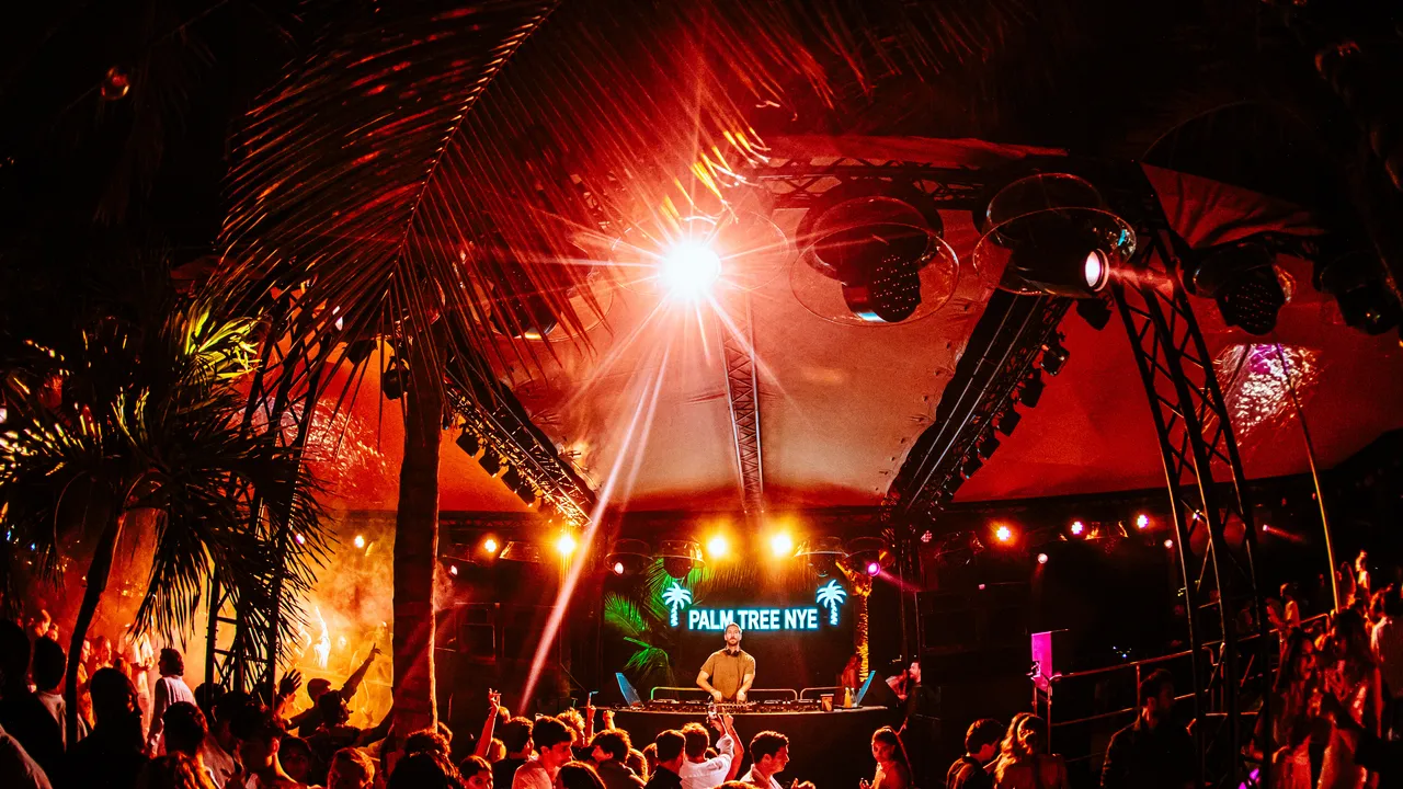 טום בריידי ואליקס ארל הלכו ל-St. Barths Rager שלהם. למה הכוכבים הגדולים אוהבים לחגוג עם צוות עץ הדקל.