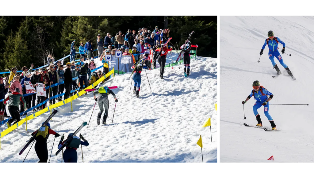 מדריך למתחילים לטיפוס הרים בסקי
