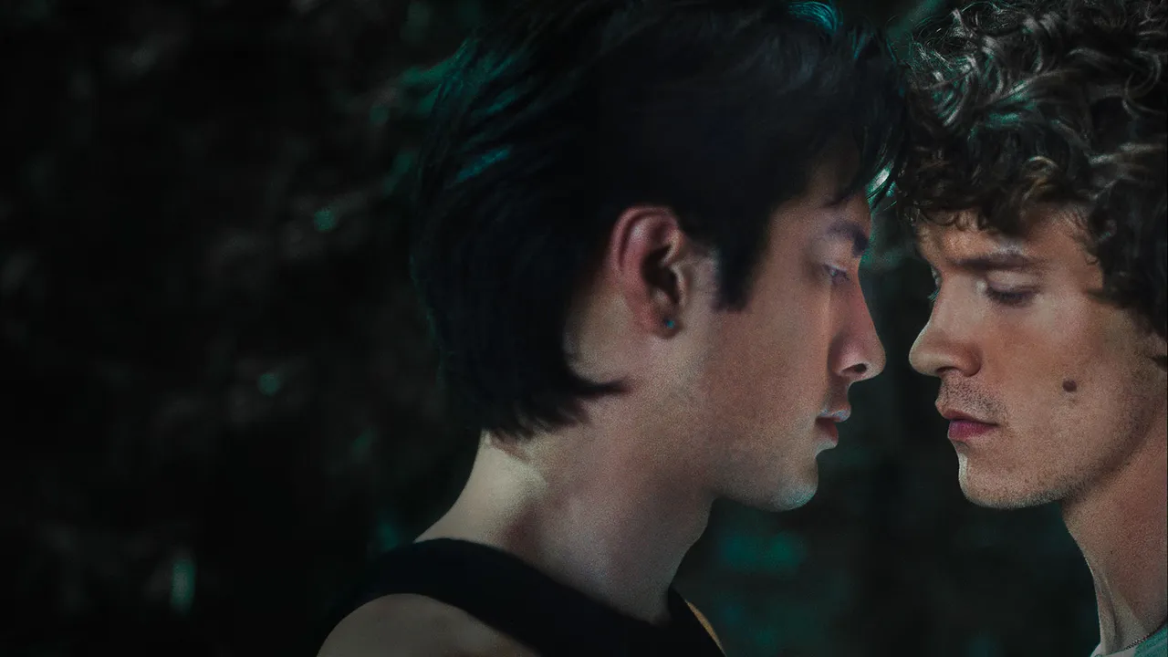 סטורי טיים: איך אפליקציית קווין גרמה לנערי היריבות הלוהטת לקרוא אותך סוט