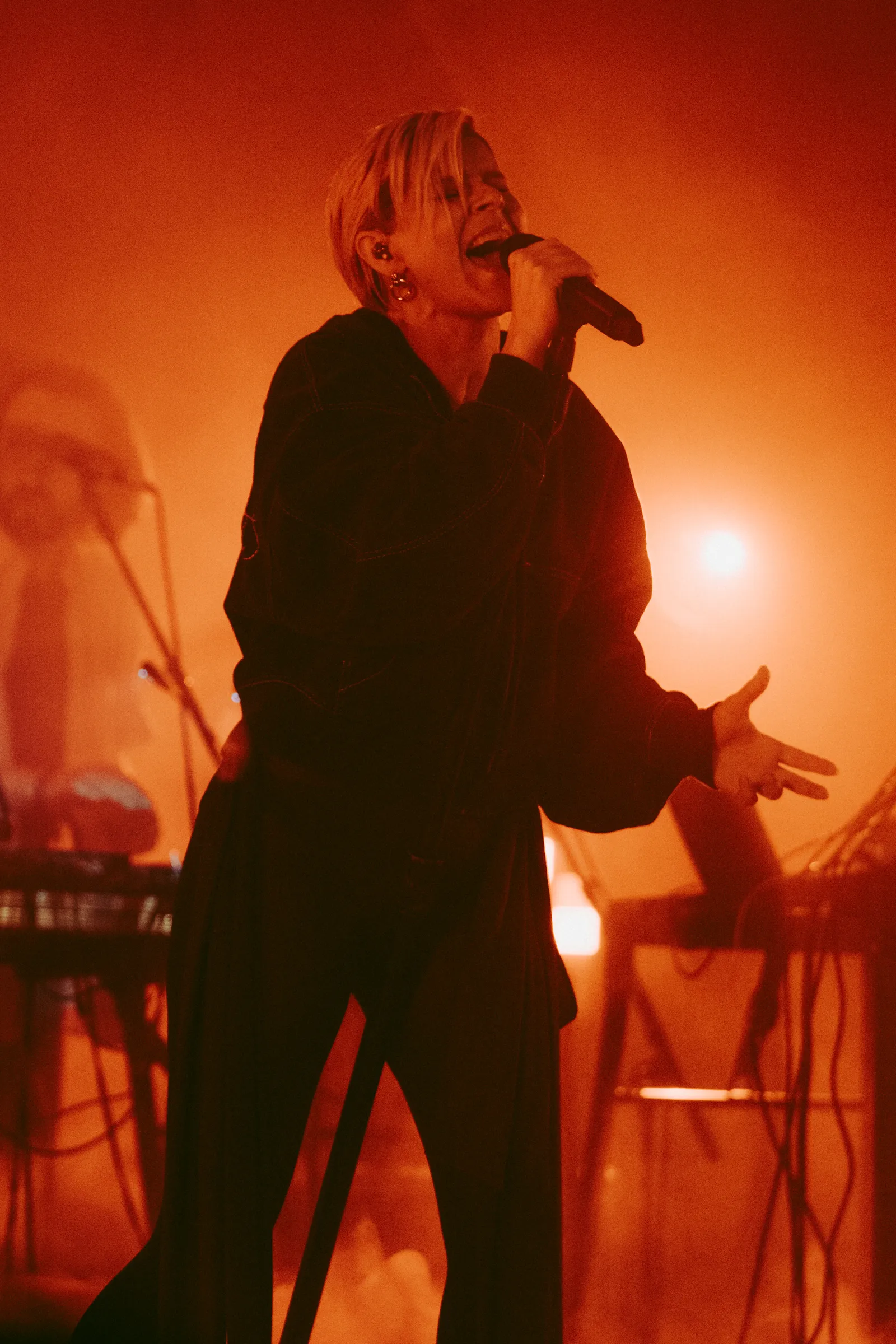 התמונה עשויה להכיל את רובין קונצרט אדם מבצע ביצוע סולו מכשיר חשמלי למבוגרים ומיקרופון