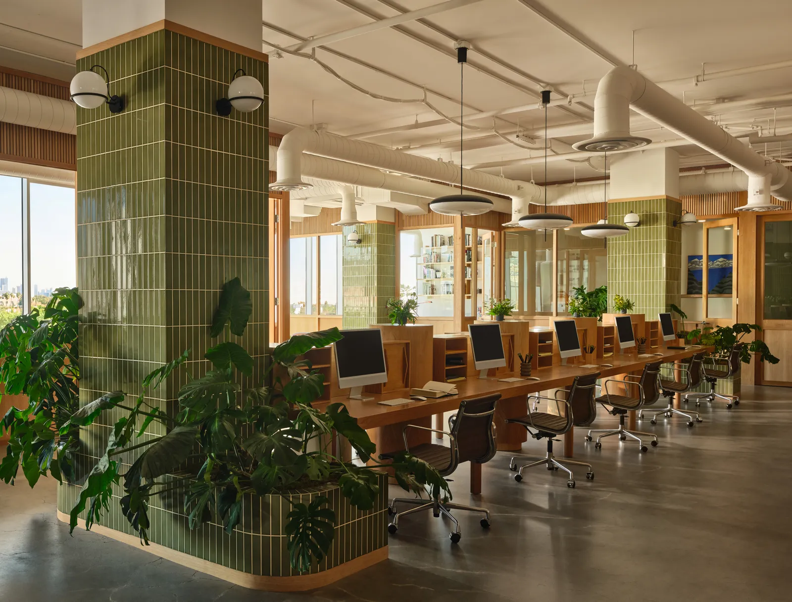 התמונה עשויה להכיל ריהוט פנים כיסא מנורת מפעל משרדית חומרת מחשב אלקטרוניקה חומרה צג