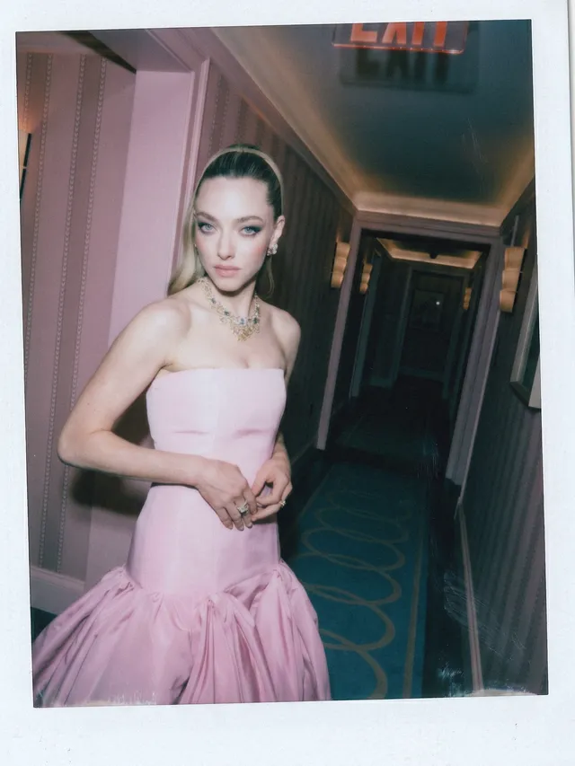 התמונה עשויה להכיל Amanda Seyfried ביגוד שמלת ערב שמלת ערב שמלת אופנה למבוגרים ואדם
