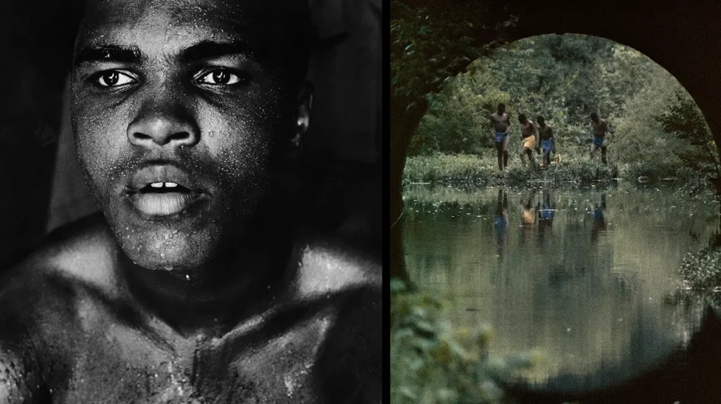 The Lens Is Mightier: The Best of Gordon Parks